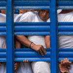 at-least-241-people-have-died-in-el-salvador’s-prisons-during-the-‘war-on-gangs,’-rights-group-says