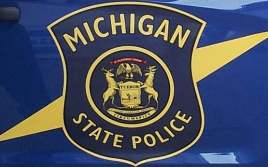 MSP: Man dead after truck crashes into tree near Coldwater